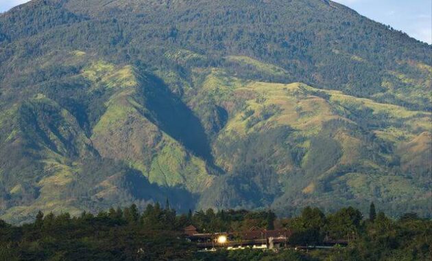 Tempat Wisata di Kabupaten Mojokerto 