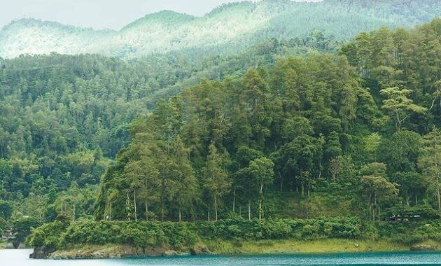 Tempat Wisata di Kabupaten Ponorogo 