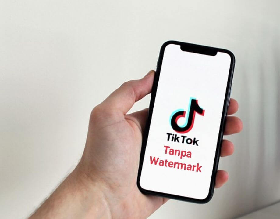 Aplikasi download TikTok tanpa watermark