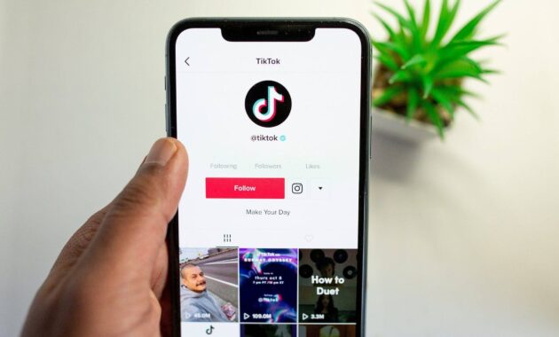 Aplikasi download video TikTok tanpa watermark