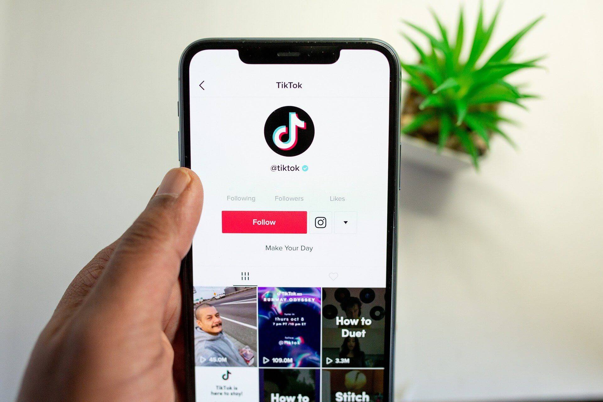 Aplikasi download video TikTok tanpa watermark