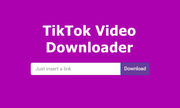 Download Lewat ssstik