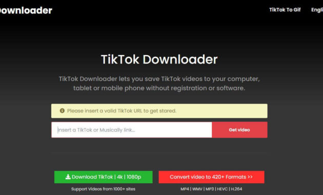 TTDownloader