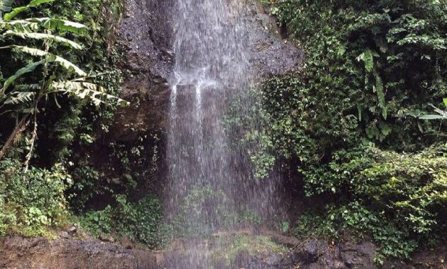 Air Terjun Krecekan Danu