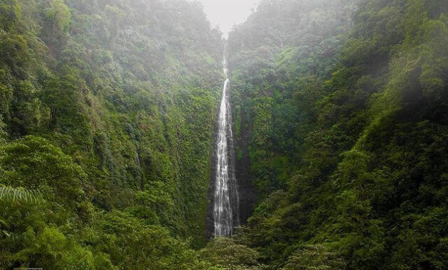 Air Terjun Tancak Tulis