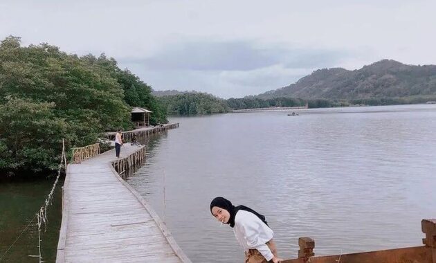 Hutan Mangrove Tambaan