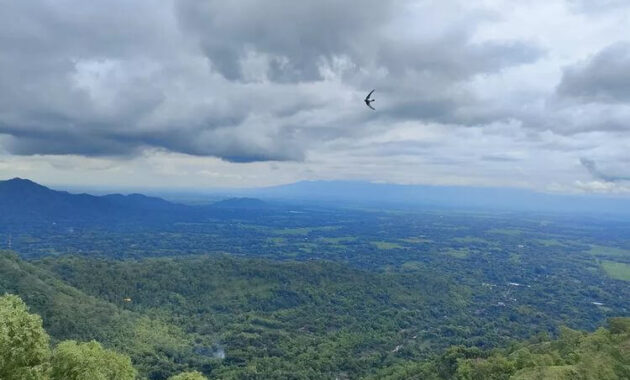 Gunung Beruk