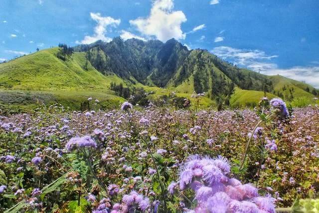 tempat wisata di bondowoso