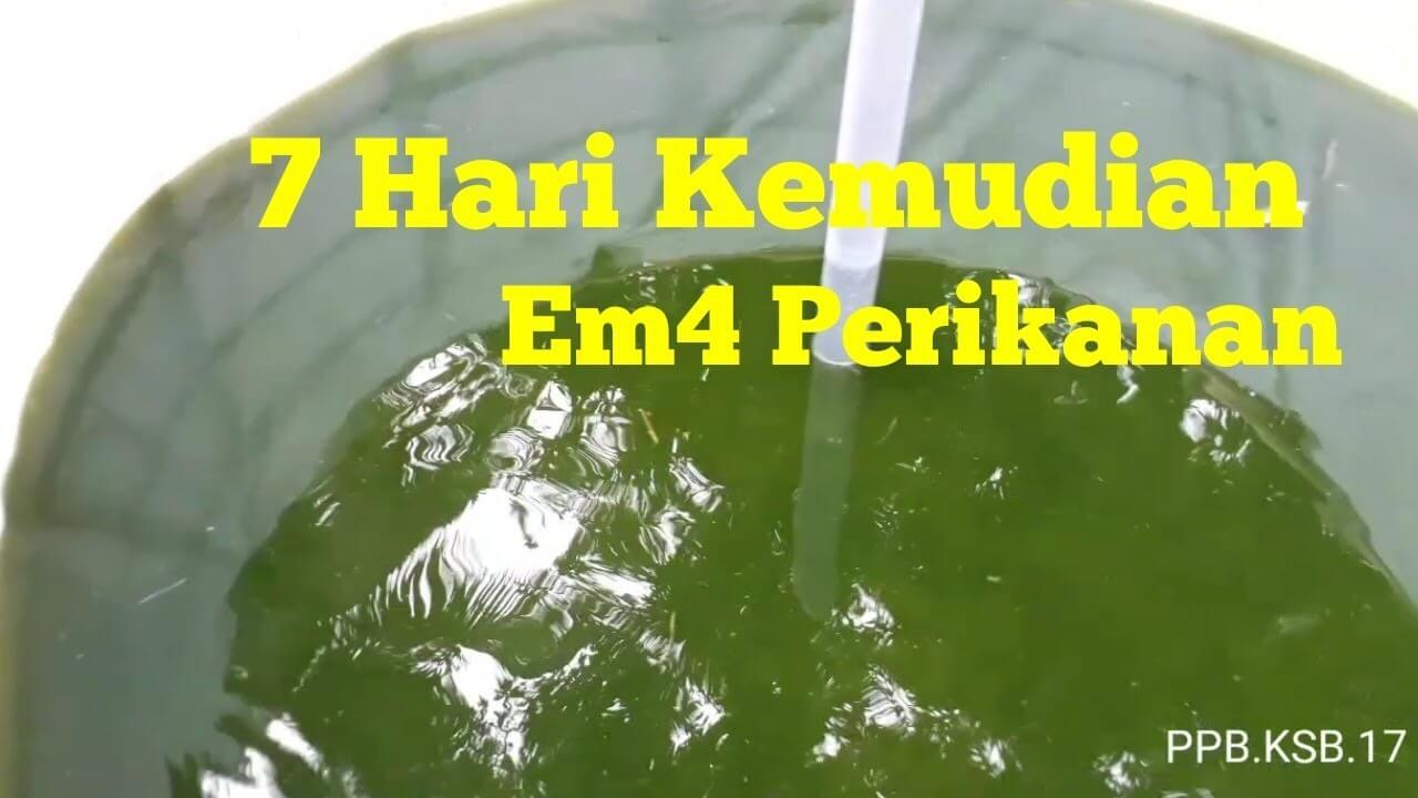  EM4 Perikanan