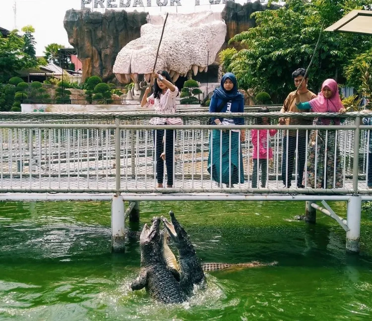 Syarat Pengunjung Predator Fun Park