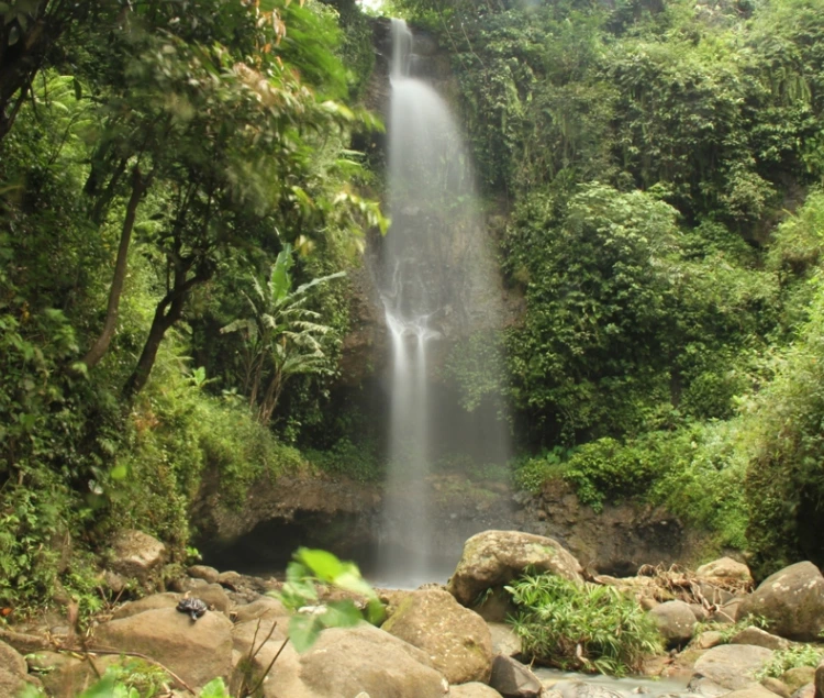 Jam Operasional dan Harga Tiket Masuk Air Terjun Serondo Seweru Madiun