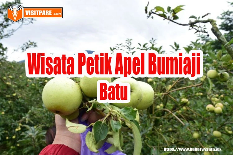 Wisata Petik Apel Bumiaji