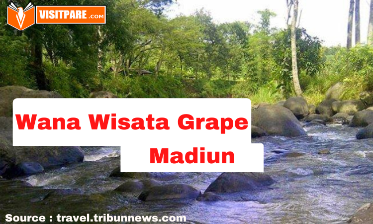 Wana Wisata Grape