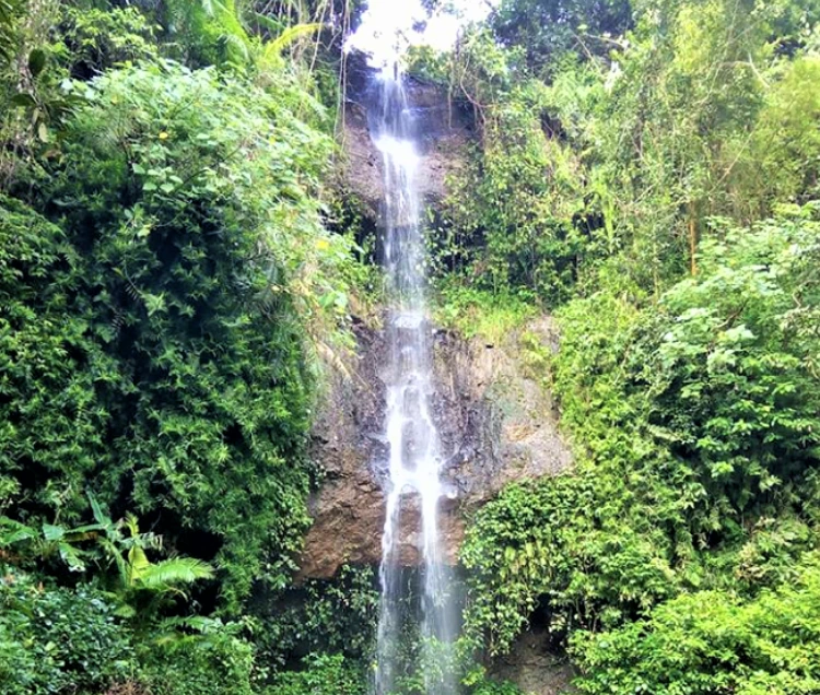 Beragam Tips Ketika Berlibur ke Wahana Air Terjun