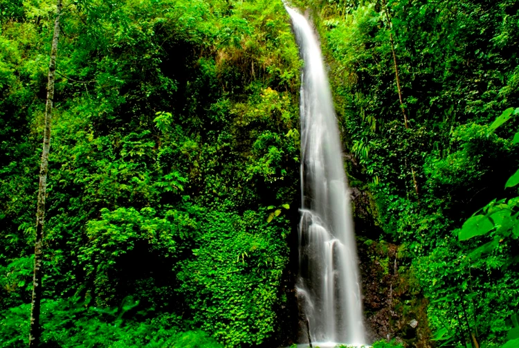 Informasi Tentang Wisata Air Terjun Krecekan Danu