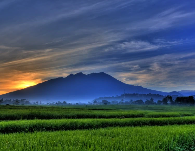 Beragam Fasilitas dari Gunung Wilis Madiun