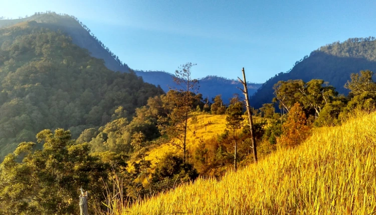 Keindahan dan Keunikan Wisata Gunung Wilis Madiun