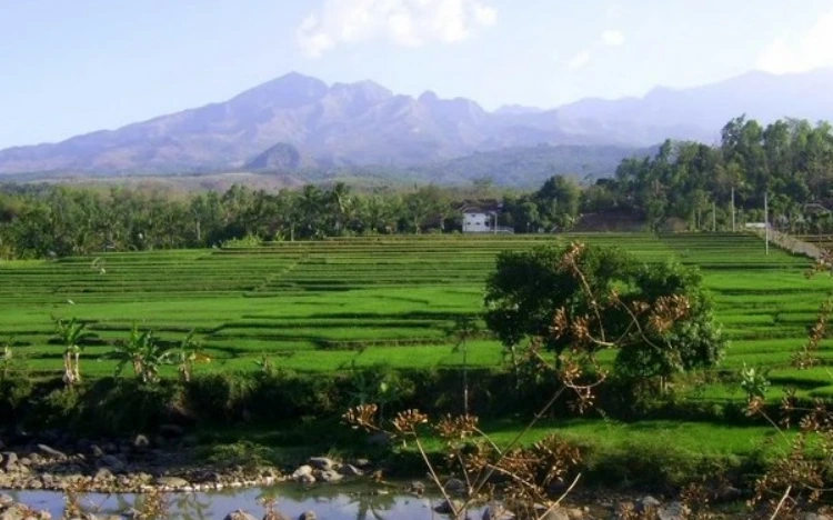 Biaya Masuk dan Jam Operasional 