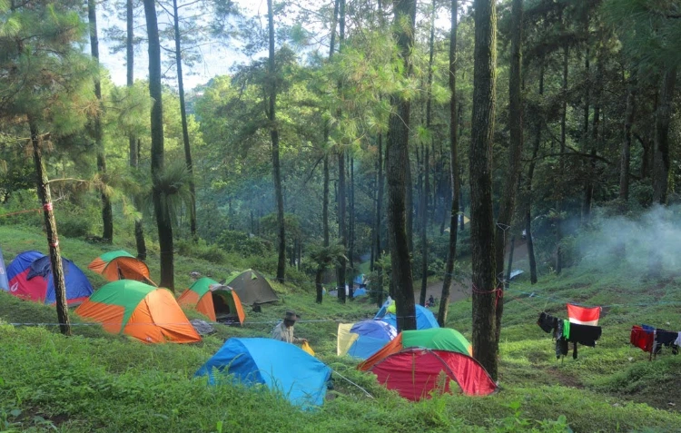 Keunikan Bumi Perkemahan Dlundung Dari Tempat Kemah Lainnya