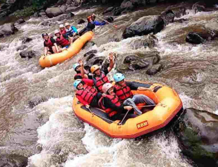 Informasi Mengenai Kaliwatu Rafting