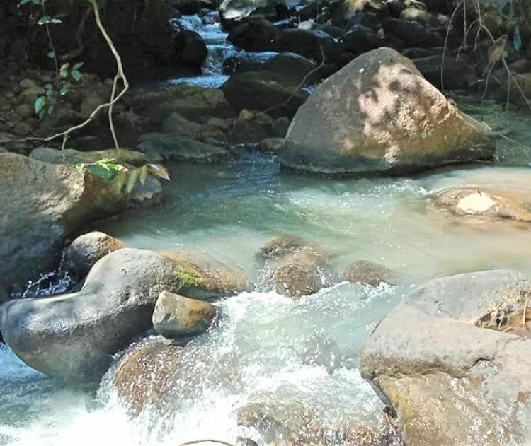 Jam Operasional dan Biaya untuk Masuk ke Air Terjun Krecekan Danu