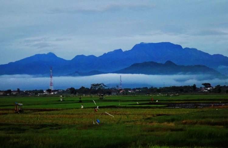 Rute Menuju Gunung 