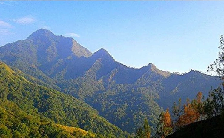 Ulasan Singkat Tentang Gunung Wilis