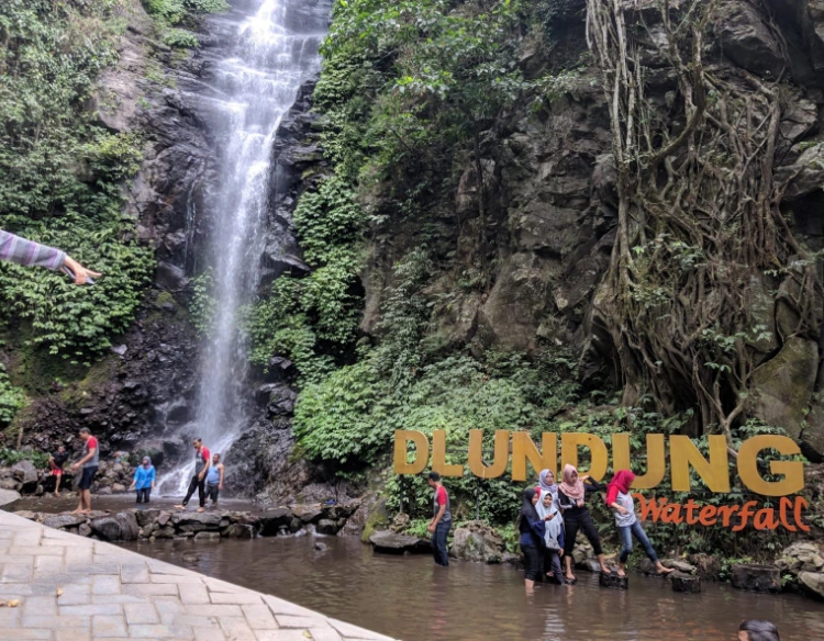 Apa Saja Aktivitas Di Lokasi Air Terjun Dlundung?