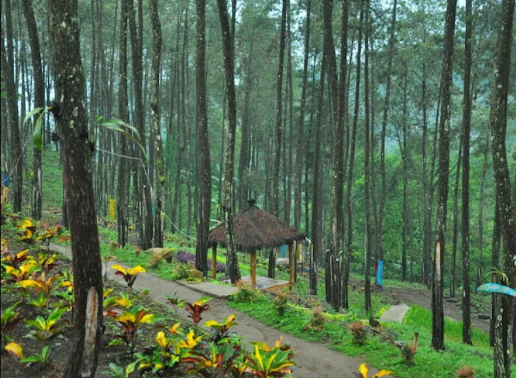 Kegiatan yang bisa Anda Lakukan