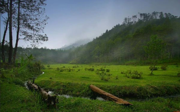 Aktivitas Tanah Goyang