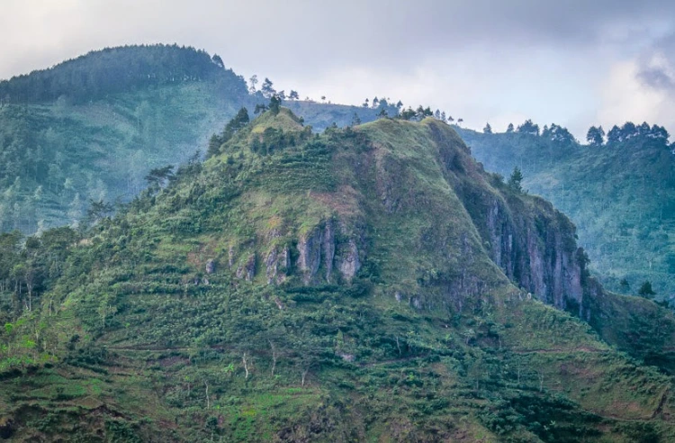 Daya Tarik Bukit Teletubbies