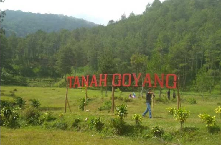 Daya Tarik Tanah Goyang