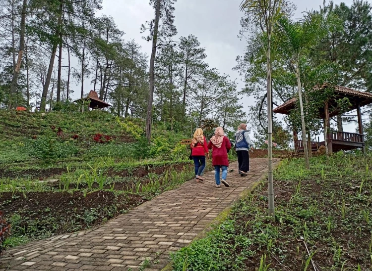 Daya Tarik Ngebel Adventure Park