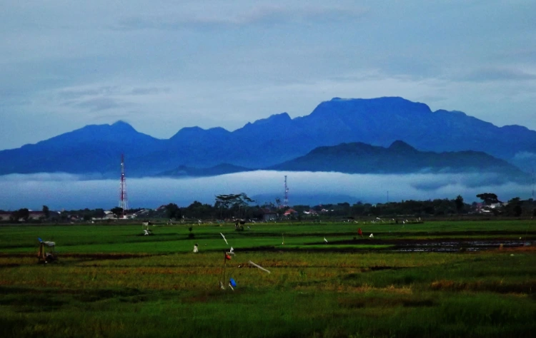 Sejarah Gunung Wilis