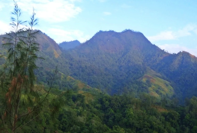 Daya Tarik Gunung Wilis