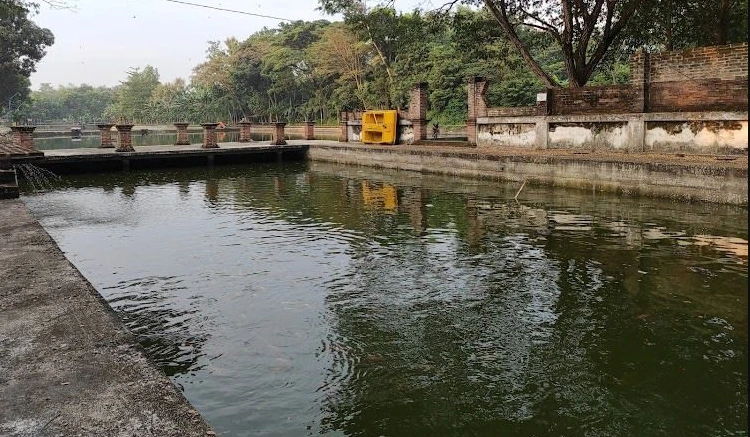 Pesona Kolam Beji Sirah