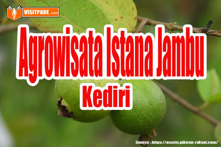 Agrowisata Istana Jambu