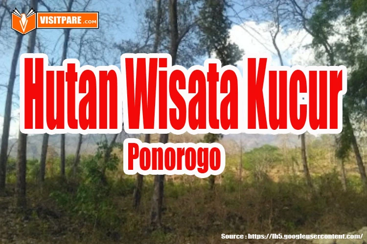 Hutan Wisata Kucur