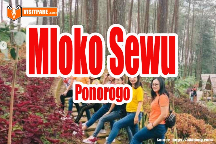 Mloko Sewu