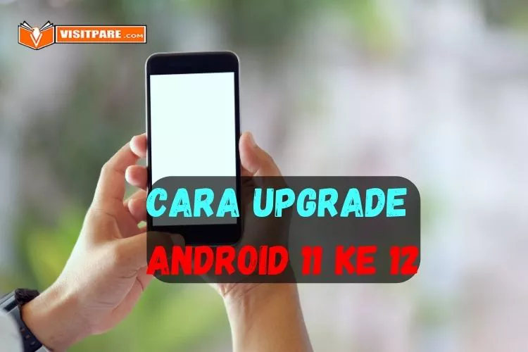 Cara Upgrade Android 11 ke 12