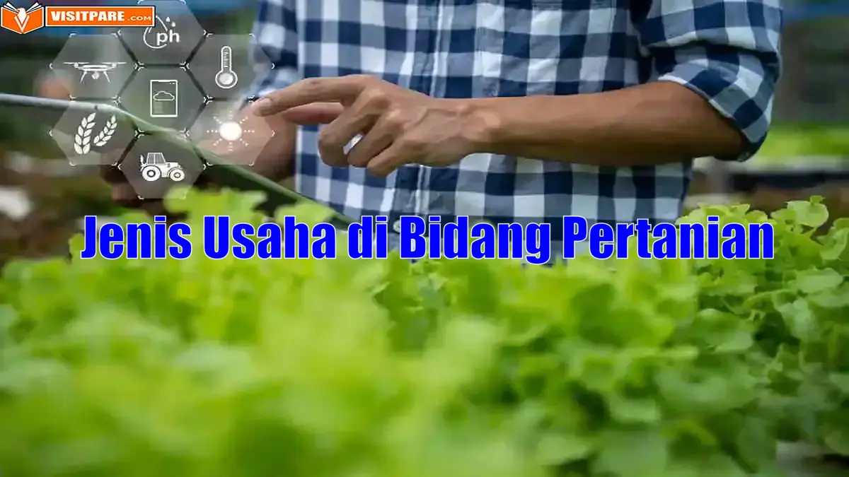 11 Jenis Usaha di Bidang Pertanian dan Cara Memulainya!