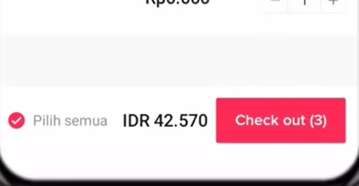 Cara Belanja di TikTok Shop Lebih dari 1 Barang