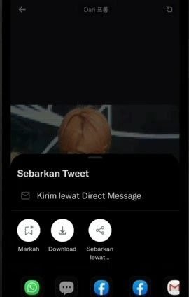 Pilih Download video