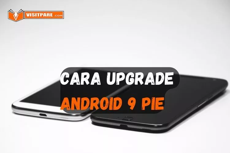 cara update ke Android 9 Pie