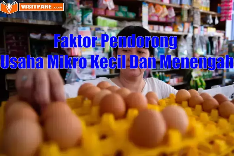 Faktor Pendorong Usaha Mikro Kecil Dan Menengah