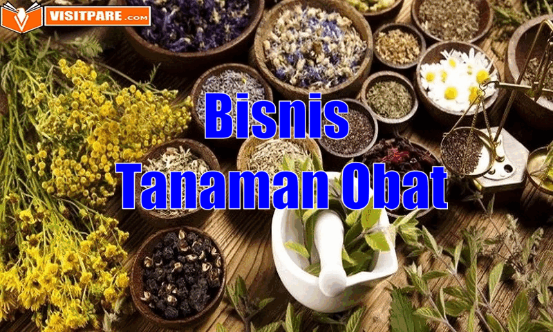 Bisnis Tanaman Obat