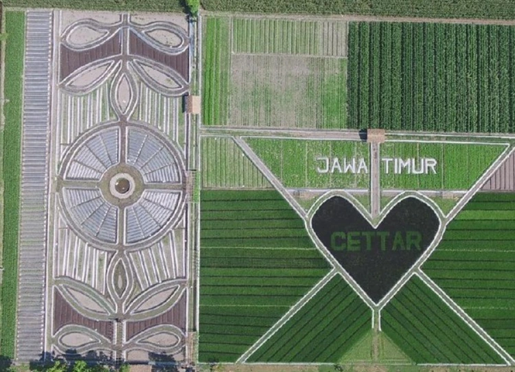 Asal Usul Crop Circle Kediri