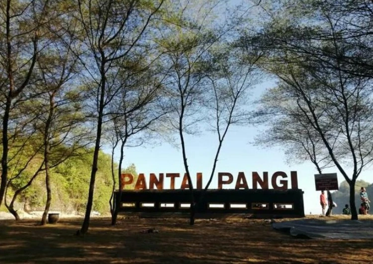 Pesona Pantai Pangi