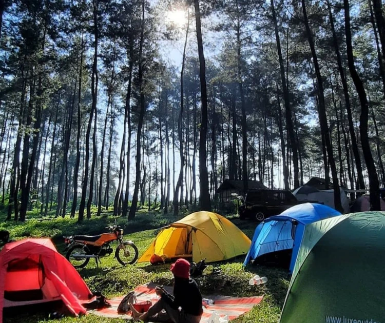 Piknik dan Camping