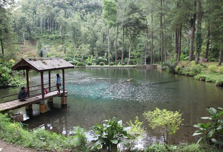 Awal Mula Telaga Rambut Monte